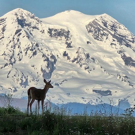 Stunning Mt Rainier Views!Tahoma Ridge Cottage Eatonville Exterior foto