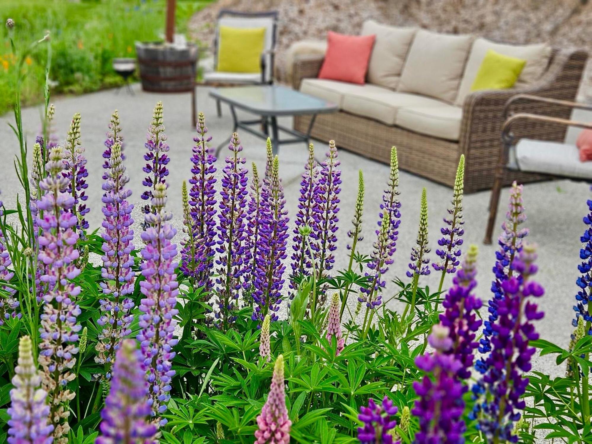 Stunning Mt Rainier Views!Tahoma Ridge Cottage Eatonville Exterior foto