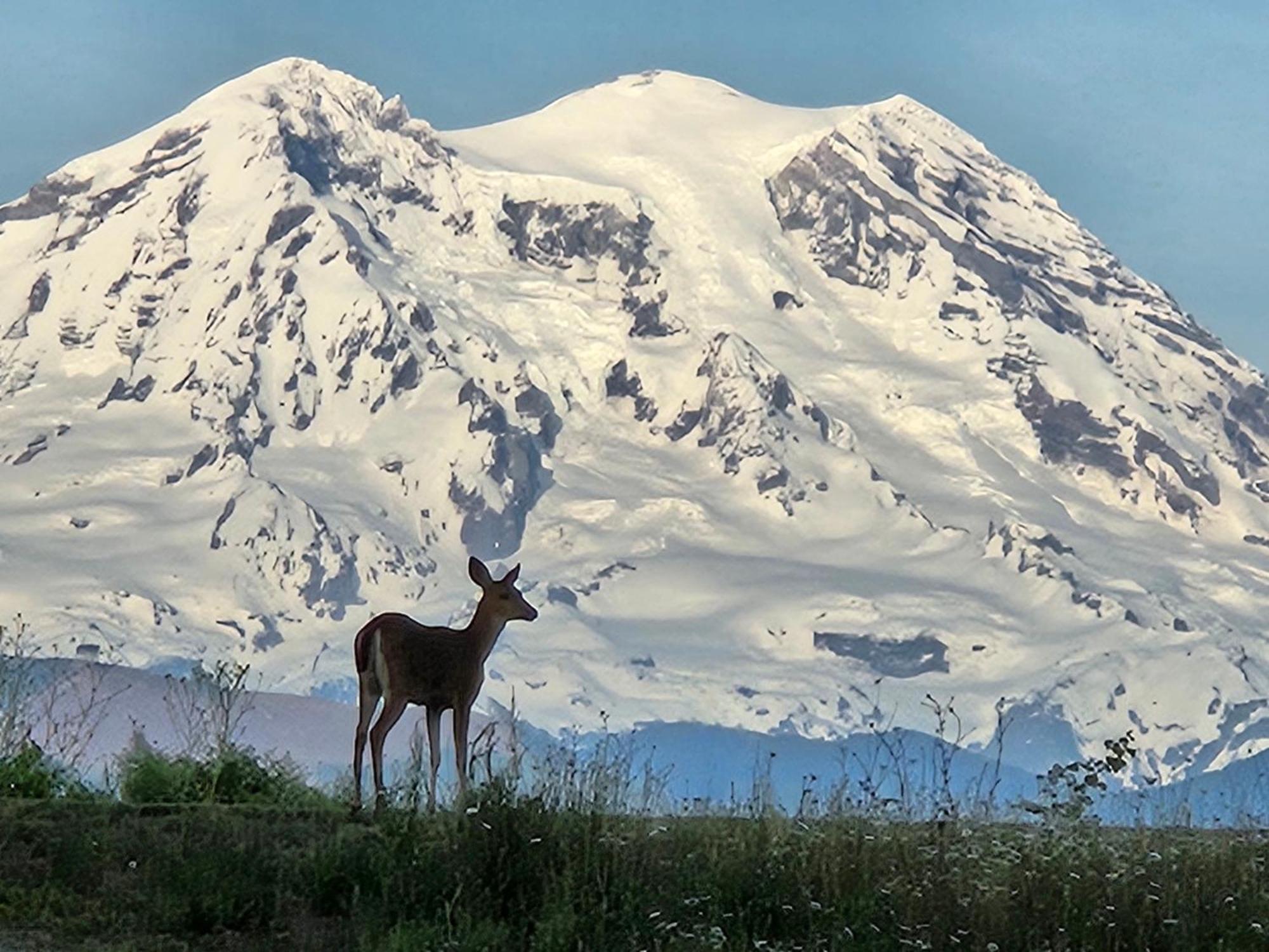 Stunning Mt Rainier Views!Tahoma Ridge Cottage Eatonville Exterior foto
