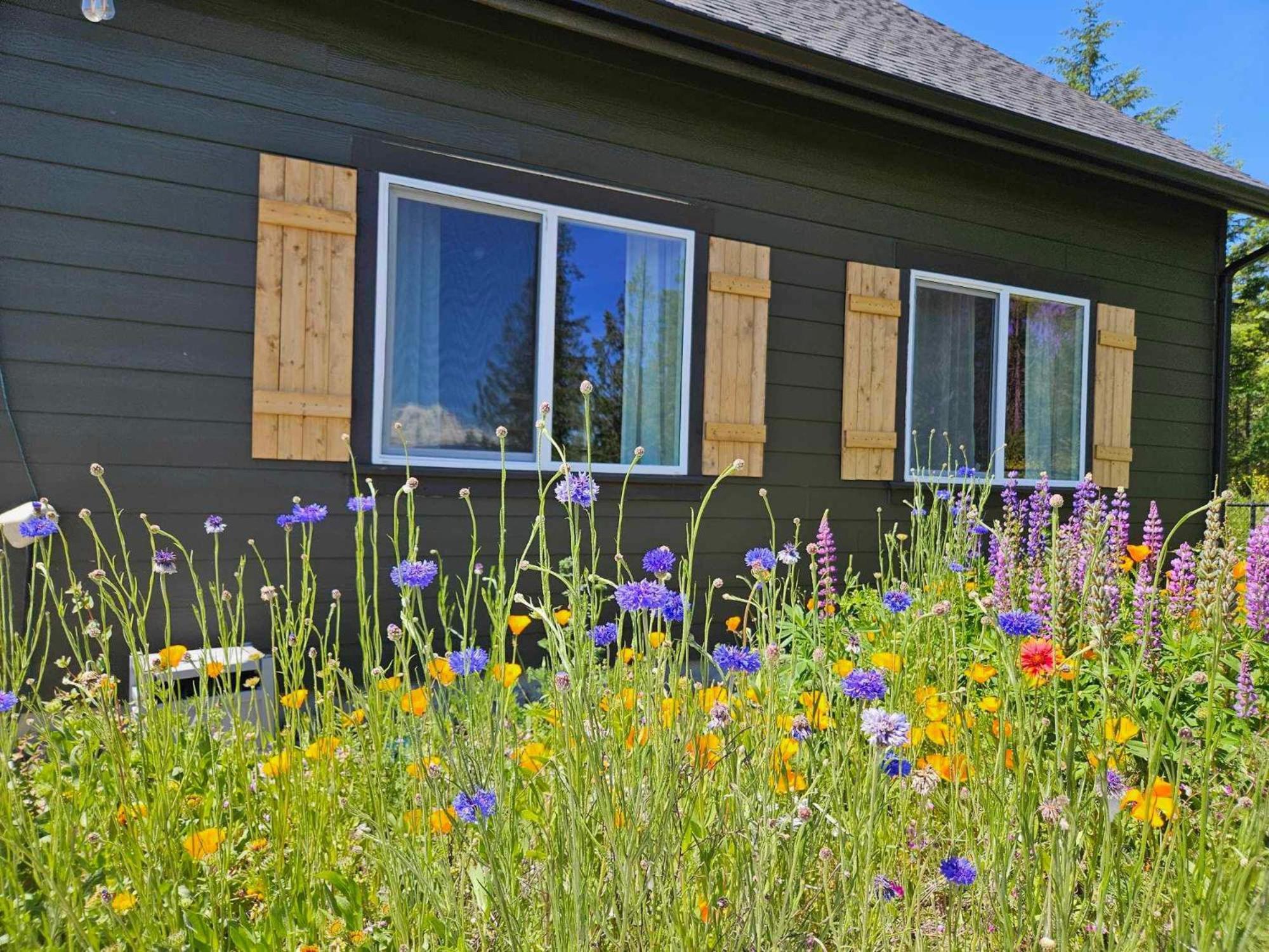 Stunning Mt Rainier Views!Tahoma Ridge Cottage Eatonville Exterior foto