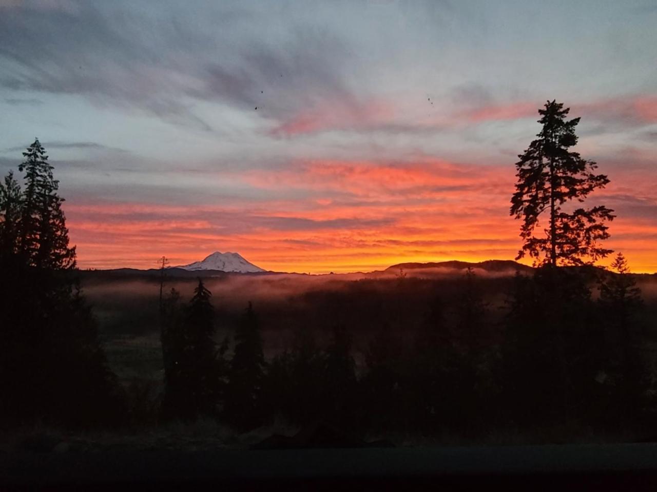 Stunning Mt Rainier Views!Tahoma Ridge Cottage Eatonville Exterior foto