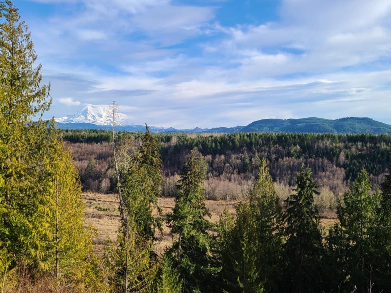 Stunning Mt Rainier Views!Tahoma Ridge Cottage Eatonville Exterior foto