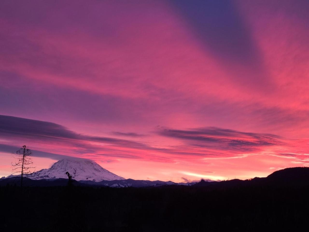 Stunning Mt Rainier Views!Tahoma Ridge Cottage Eatonville Exterior foto
