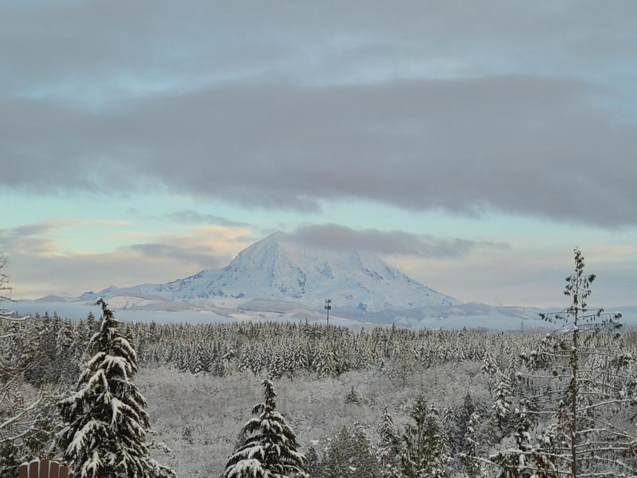 Stunning Mt Rainier Views!Tahoma Ridge Cottage Eatonville Exterior foto